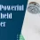 Most Powerful Handheld Shower Head