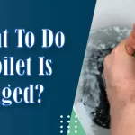 what to do if toilet is clogged