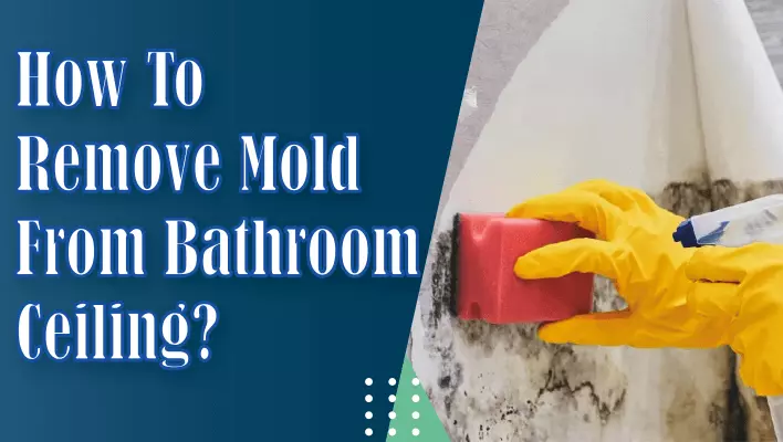 How To Remove Mold From Bathroom Ceiling