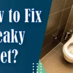 How to Fix a Leaky Toilet