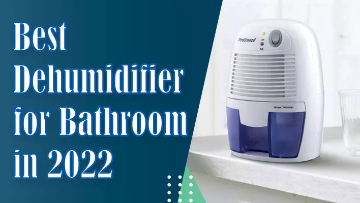 Best Dehumidifier for Bathroom