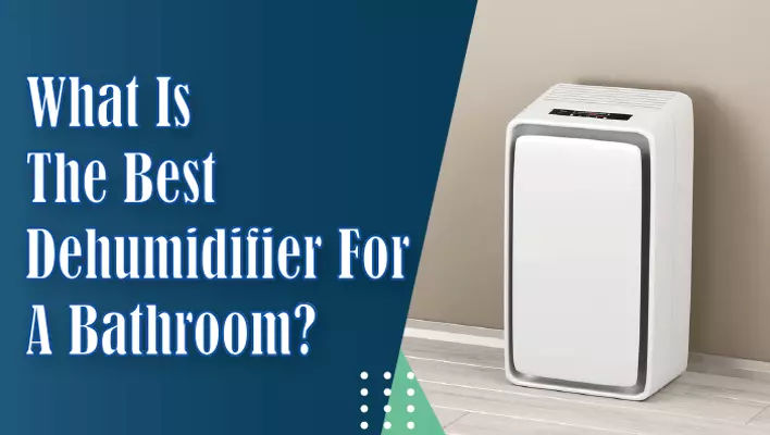 The Best Dehumidifier For A Bathroom