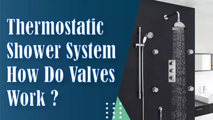 Thermostatic shower System