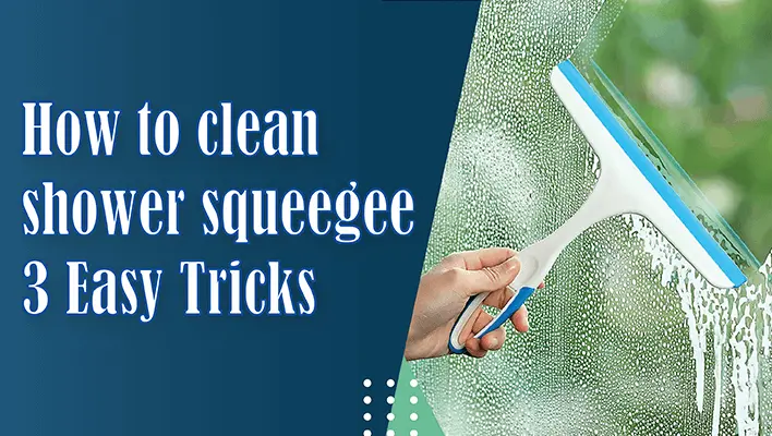 Clean Shower Squeegee