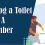 How to Unclog a Toilet like a Pro Plumber?