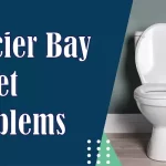 Glacier Bay Toilet Problems
