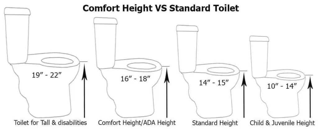 How High is a Chair Height Toilet