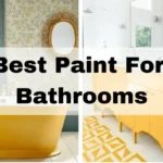 Best Paint for Bathrooms